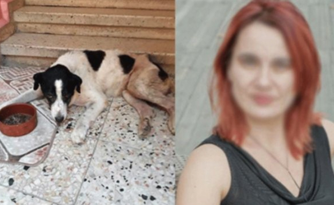 Akademisyen tarafından kaçırılan köpek 'Çıtır' öldü!