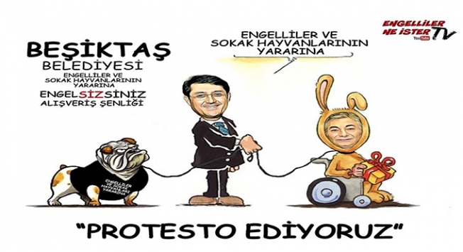 Dernekler ateş püskürdü: Engelliler ile sokak hayvanları aynı terazide