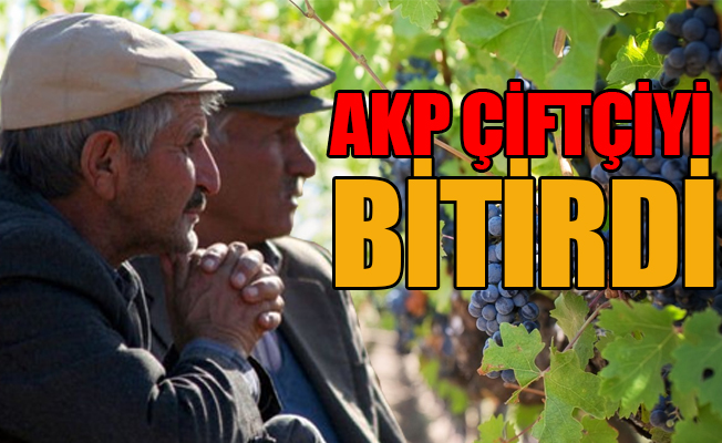 Bir tarafta fındık yakanlar, bir tarafta da bağını kesenler