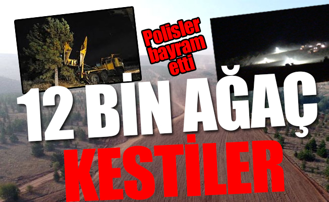 ODTÜ'de orman katledilirken polisler göbek attı!