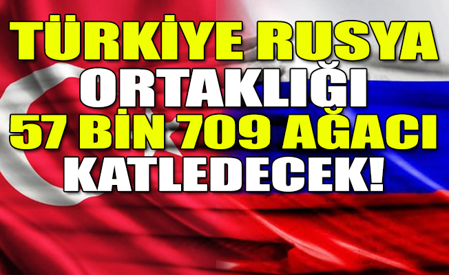 Türk Akım Projesi'nin 'ÇED' raporu açıklandı!