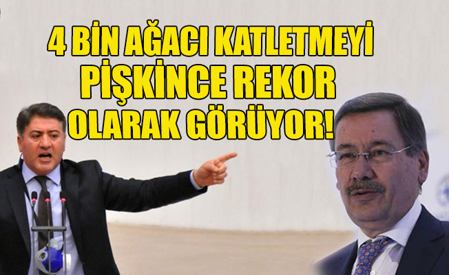 CHP’li Emir: Gel naklettiğin 4 bin ağacı teker teker sayalım