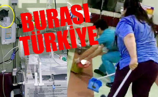 Yeni doğan servisine fare girdi!