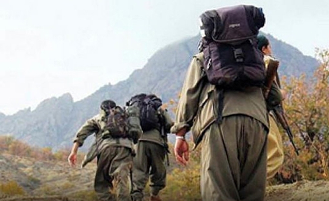 Belçika'da PKK'yı 'terör örgütü' saymayan karar onandı