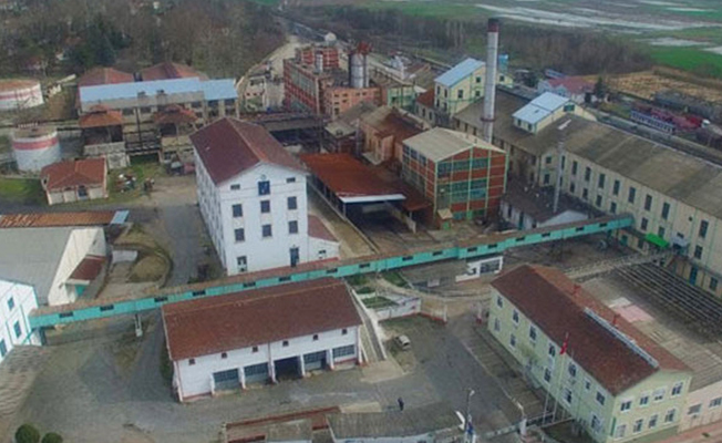 Atatürk'ün kurduğu asırlık şeker fabrikası yeniden üretime başladı