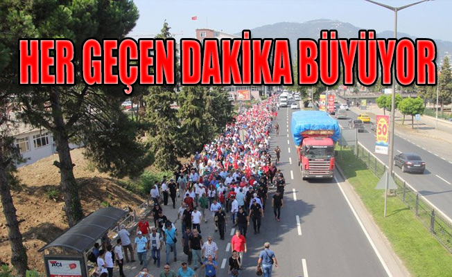 ‘Fındık İçin Yürüyoruz’ yürüyüşü başladı