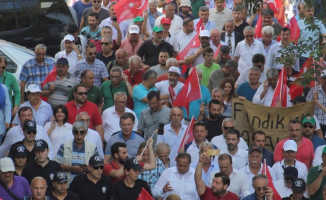 Kazan-kazan yaklaşımı: CHP'den 'Fındıkta sorunu çözebiliriz' açıklaması