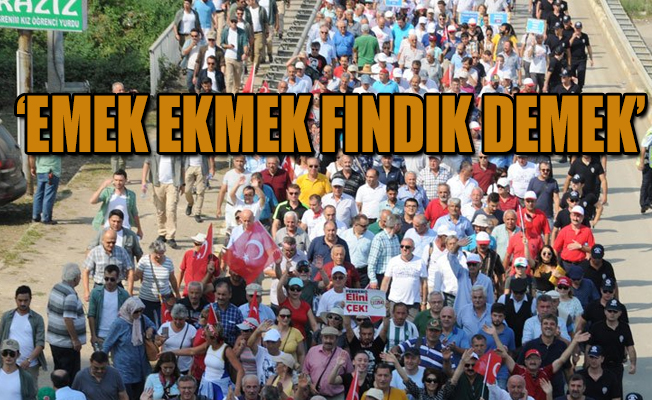 CHP’nin ‘fındık için adalet’ yürüyüşünde ikinci gün!