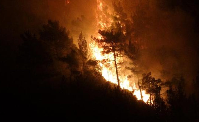 Karabük'te korkutan orman yangını