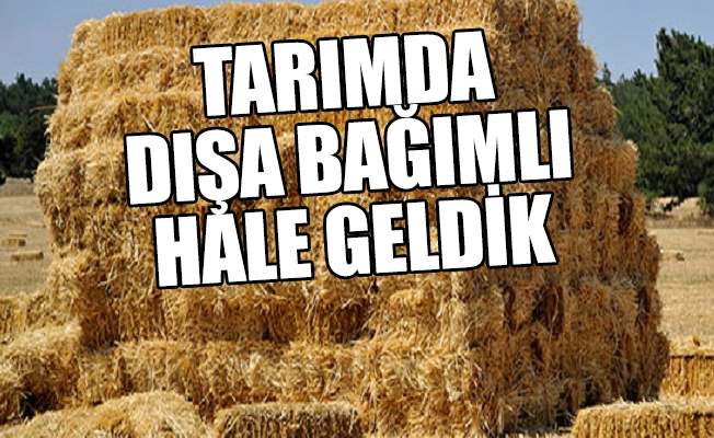 AKP 'tarımda yerli ve milliyiz' diyor, ama samanı bile ithal ediyor