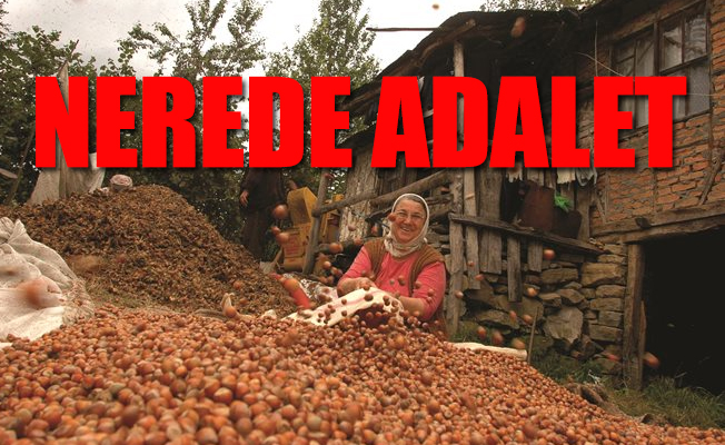 Üreticiden 10 liraya alınan fındığın kilosu, rafta 60 lira