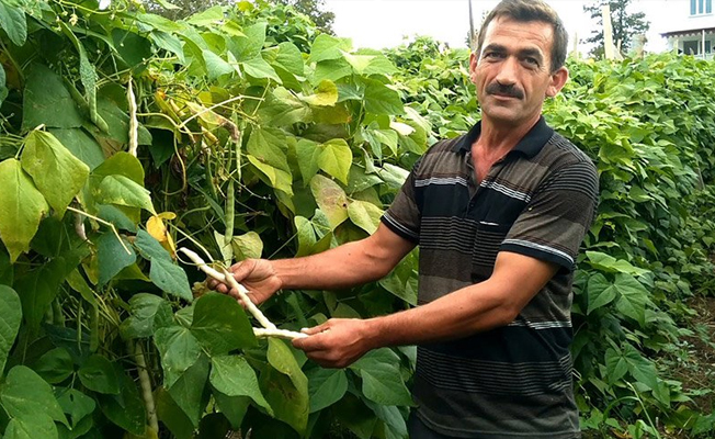 'Siparişler çok, yetiştiremiyoruz'
