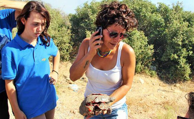 Bodrum'da korkutan yangın: Evlere 5 metre kalmıştı!