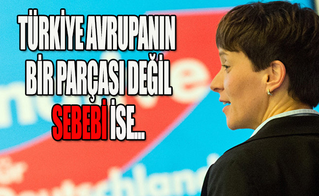 AFD sözcüsü: Şu an sorun Erdoğan!