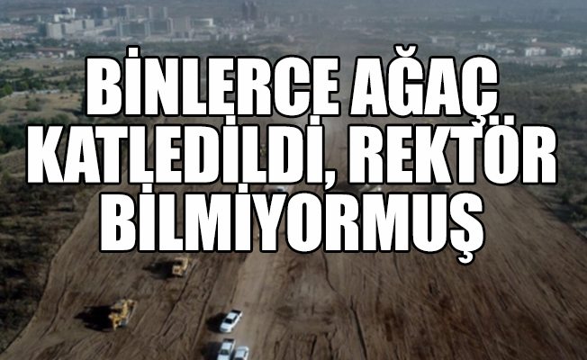 ODTÜ Rektörü'nden skandal yol açıklaması: Bilmiyordum