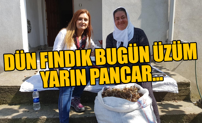 Üretici tek yumruk olup AKP'ye gereken cezayı kesecek!