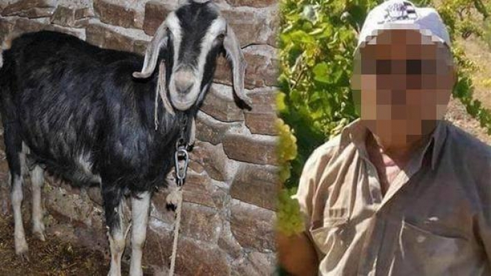 Keçiye tecavüz eden adam: 700 liraya alayım, konu kapansın