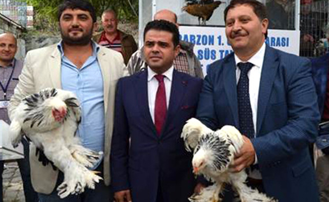 Otomobil fiyatına tavuk ve horoz satıldı