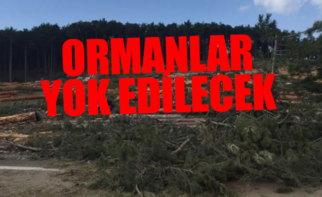 Torba Yasa ile ormanlar madenlere feda ediliyor!