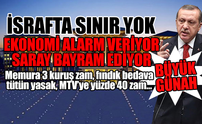 Erdoğan'ın sarayının sadece temizlik masrafı 2 milyon lira