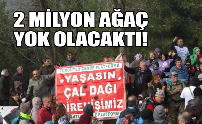 Danıştay, Çaldağı'ndaki ağaç katliamı kararını bozdu!