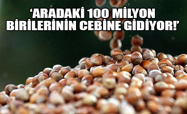 Son iki yılda fındık gelirinden 100 milyon dolar kaybedildi!