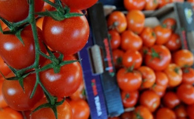 Rusya'dan 2018'e kadar domatese izin yok