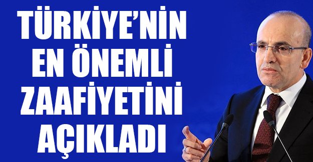 Başbakan Yardımcısı Şimşek: Türkiye'nin en önemli zafiyeti tasarruf açığı