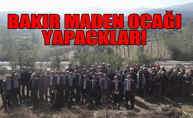 Bilecik'te ağaç kesilmesine tepkiler büyüyor