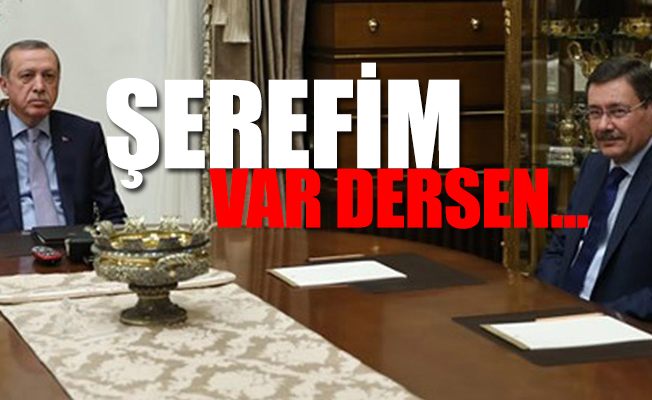 Erdoğan’dan flaş AKP'deki istifalar ve Meral Akşener açıklaması