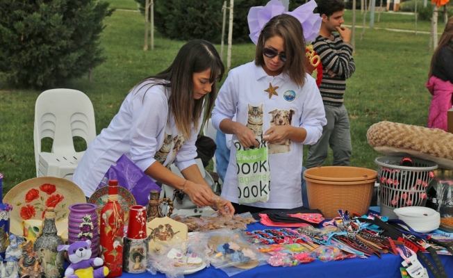 Büyükçekmece’de sokak hayvanları yararına kermes!