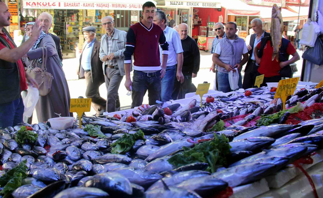 Karadeniz’de palamut sürprizi