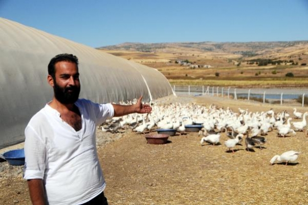 Tunceli'de Peri Çayı kenarında kaz çiftliği kurdu
