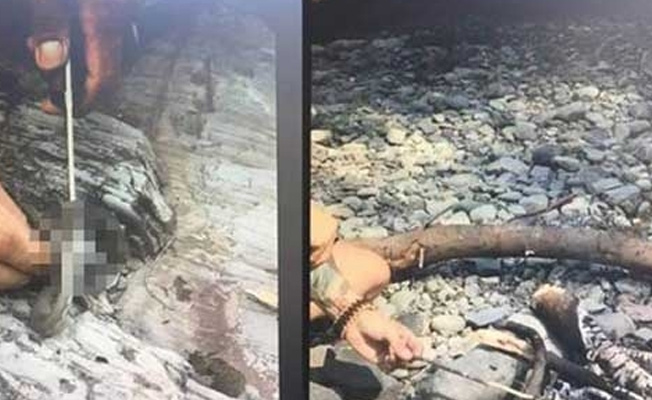 Kaçak avın fotoğrafını sosyal medyada paylaşınca...