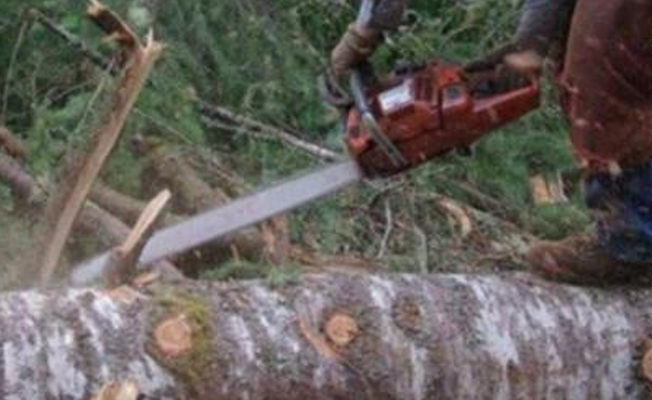 Eşinin elektrikli testereyle kolunu kestiği kadın öldü