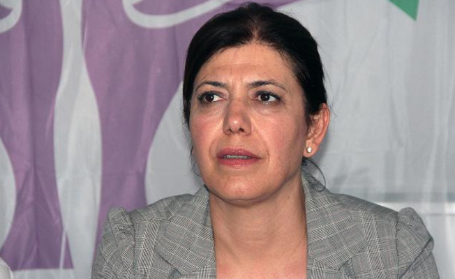 Vize krizine ilişkin HDP'den ilk açıklama