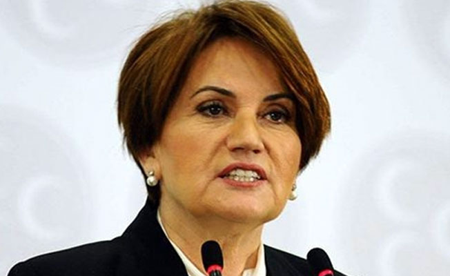 Meral Akşener'den 'vize krizi' açıklaması!