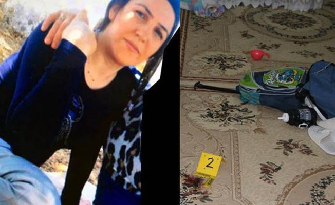 PKK Kaymakamlığa temizliğe giden kadına saldırdı
