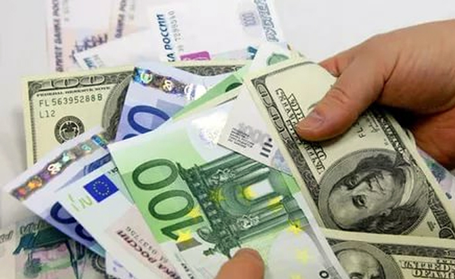 Vize krizi sonrası dolar ve euroda son durum!