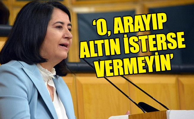 HDP'li Kemalbay, Cumhurbaşkanı Erdoğan'a yüklendi