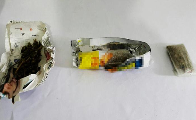 Bisküvi paketinden bonzai çıktı