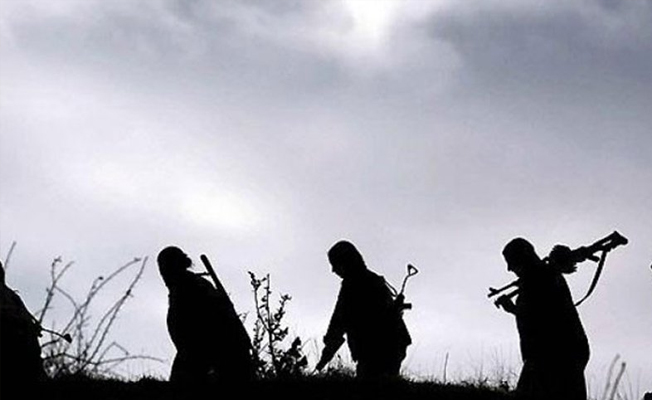 Silopi’de 5 PKK'lı teslim oldu