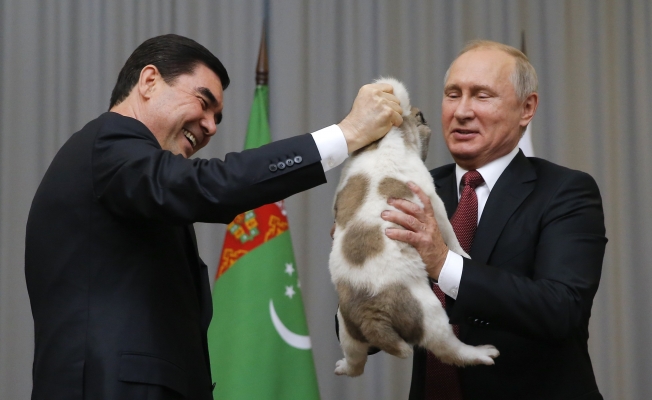 Türkmen lider Putin'e çoban köpeği hediye etti