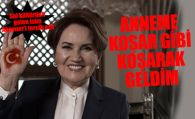 Meral Akşener için google'ı bırakıp Türkiye'ye döndü: Türkiye için çalışacağım