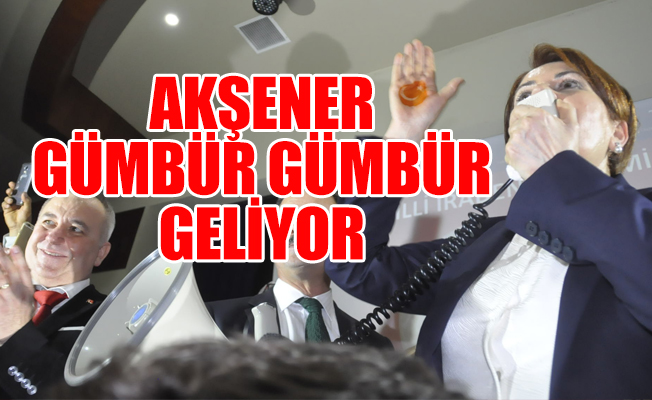 İşte Meral Akşner'in yeni kuracağı partinin parolası