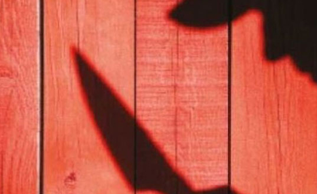 17 yaşındaki çoban, 42 yaşındaki patronunun kendisine tecavüz ettiğini söyledi: Bana tecavüz etti 36 yerinden bıçakladım