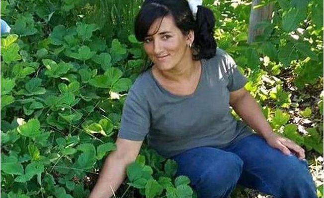 Silaj makinesine kaptırdığı kolları koptu