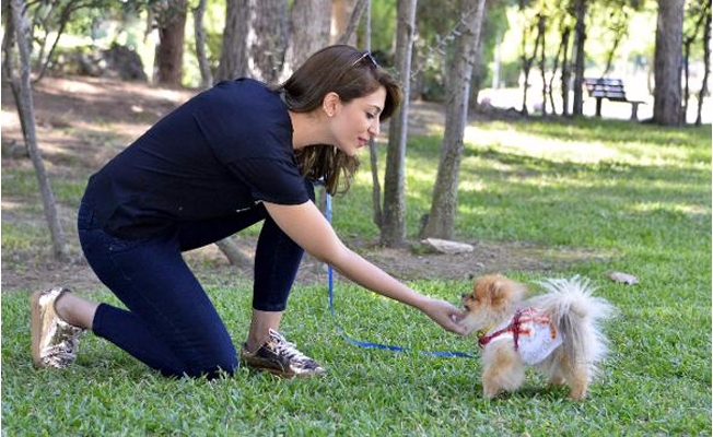 15 bin liraya aldığı köpek kalp hastası çıktı