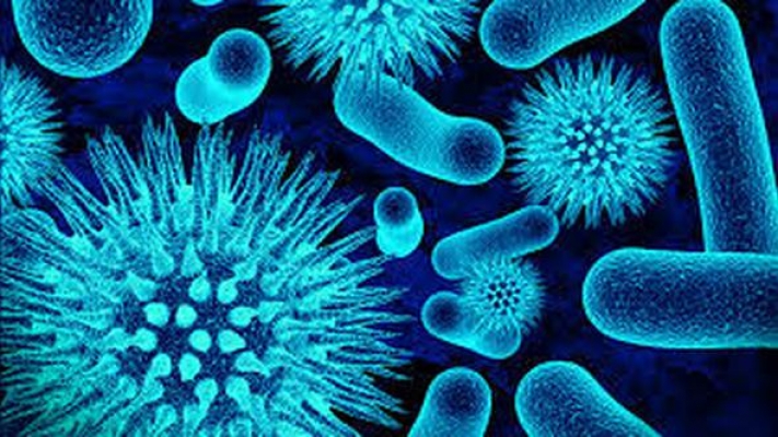 ABD'de "Hepatit A" alarmı: Ölü sayısı artıyor