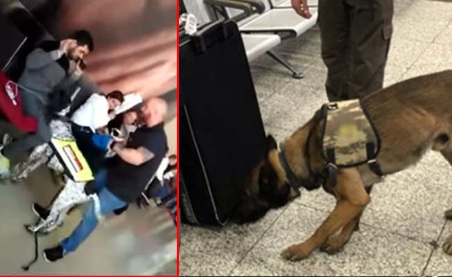 Viyana Havalimanı’nde Türk yolculara köpekli arama skandalı!